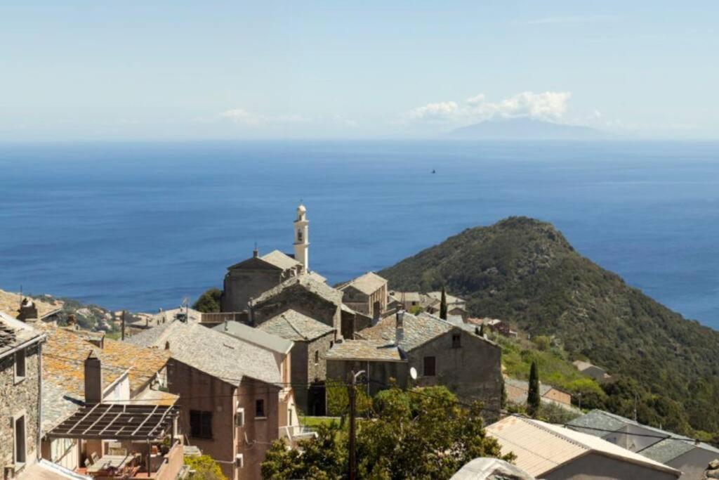 Studio Cosy Plage Et Parking Pietranera Exterior photo